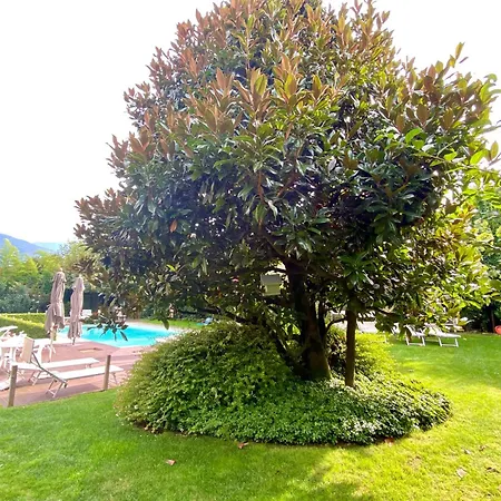 Appartement Ibiscus Di
